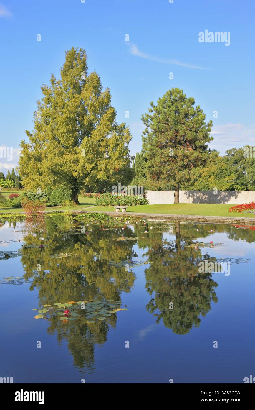 Une douce lumière de coucher de soleil illumine un coin confortable du paysage du parc. Les arbres élancés se reflètent dans l'eau lisse de l'étang Banque D'Images