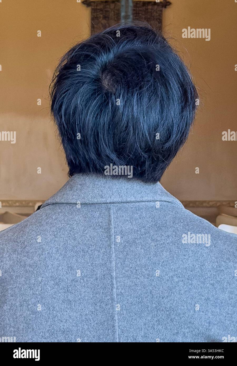 Derrière une personne aux cheveux noirs dans un manteau gris Banque D'Images