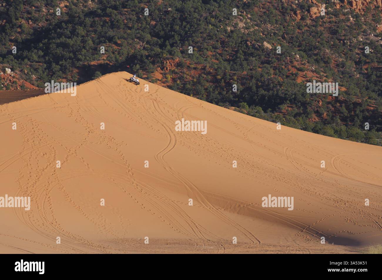 Réserver Coral sand dunes aux États-Unis.voitures de sport pour la conduite sur les dunes de sable Banque D'Images