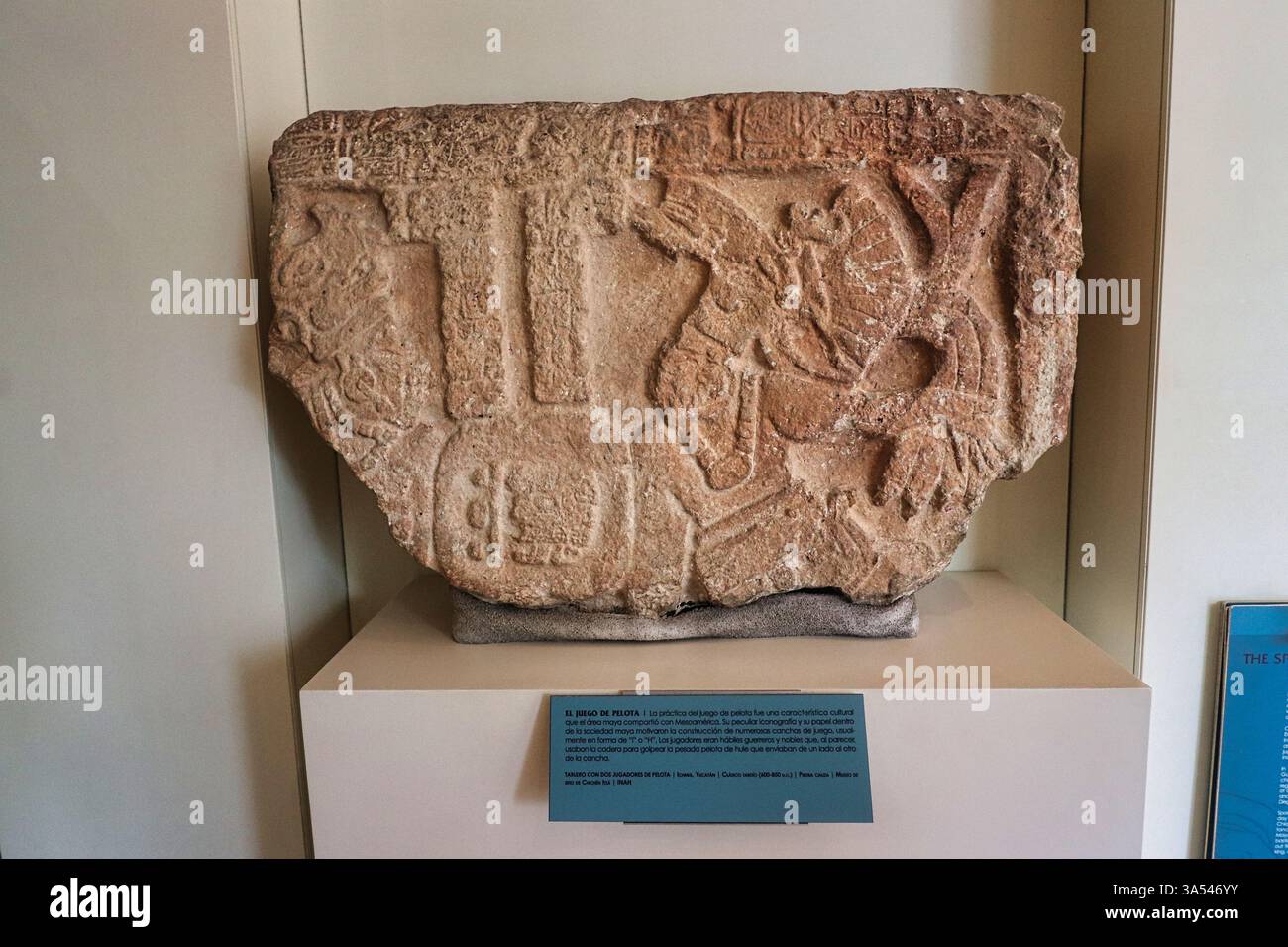 Fragment d'un panneau de calcaire avec deux joueurs de balle jouant au Ball court du site d'Ichmul, 600 à 850 EC au Museo de Maya, Cancun, Mexique Banque D'Images