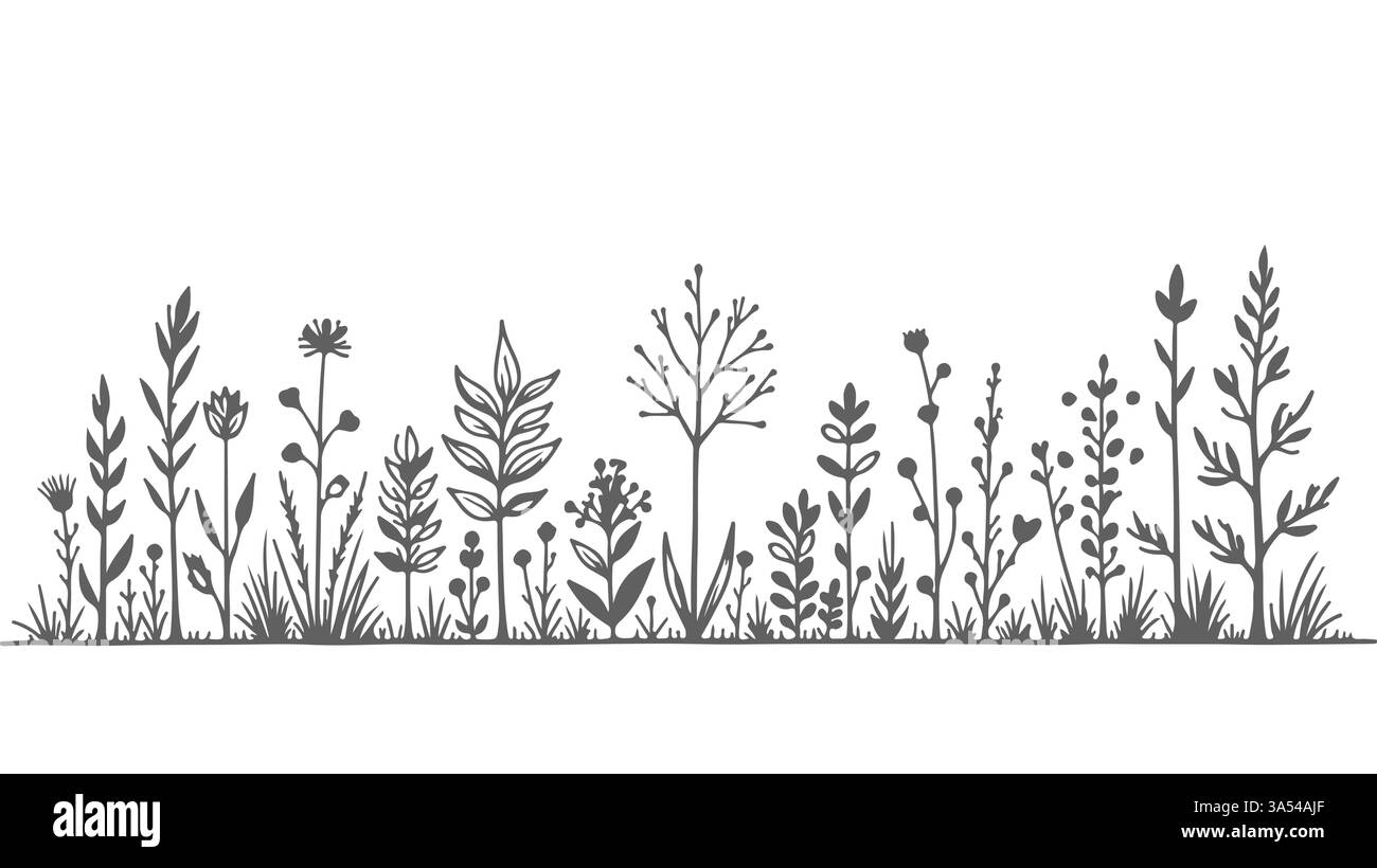 Fond de silhouette d'herbe de fleurs sauvages. Différentes herbes plantes bordure impression gravure t-shirt imprimé Black line art vecteur de fond blanc Illustration de Vecteur