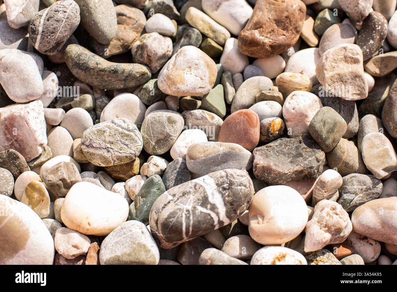 différentes pierres sur la plage. Photo de haute qualité Banque D'Images