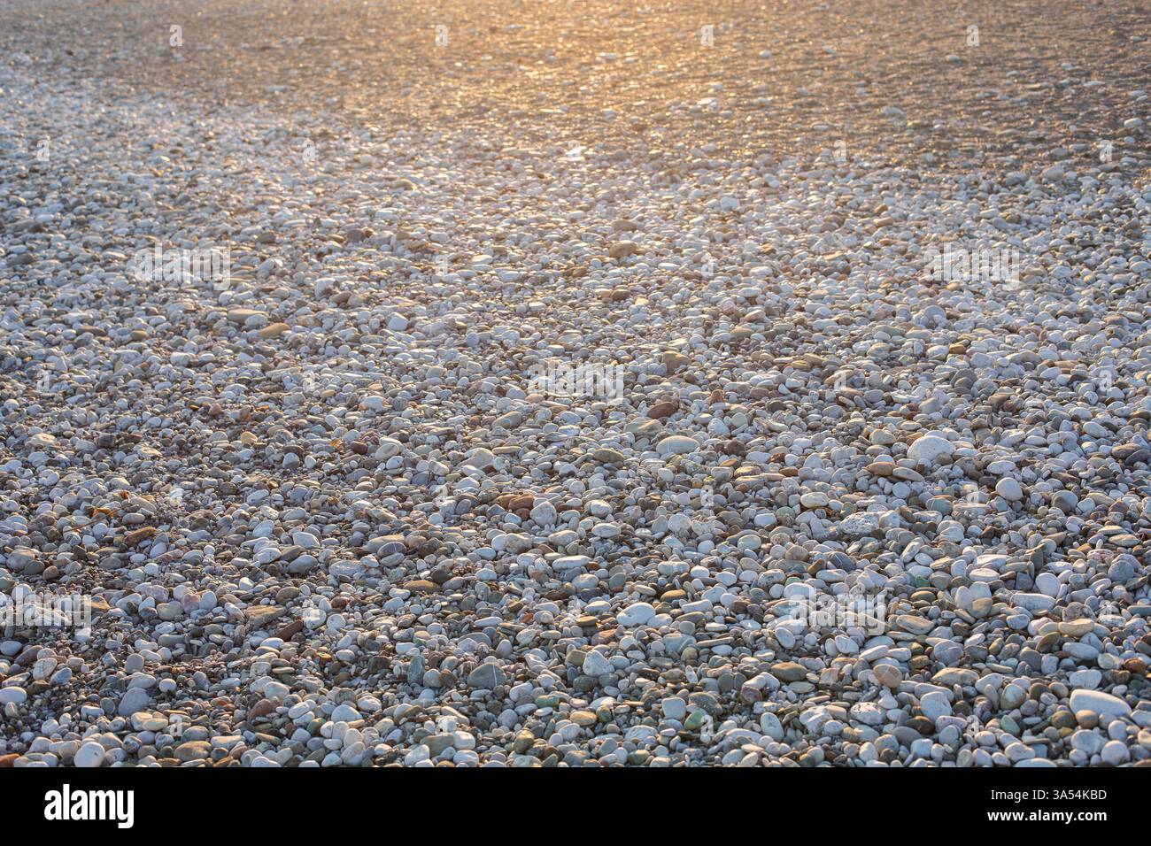 différentes pierres sur la plage. Photo de haute qualité Banque D'Images