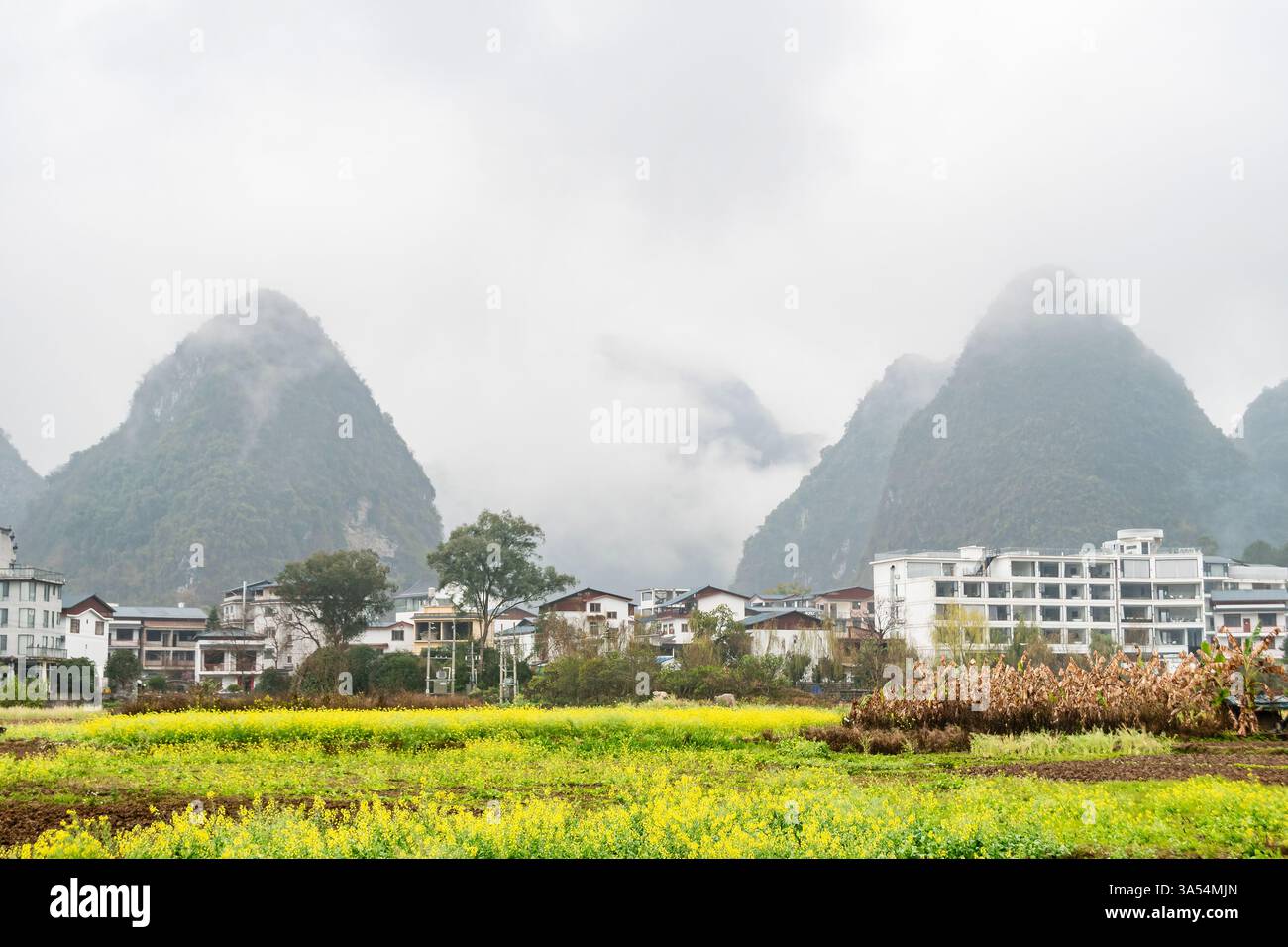 Les montagnes brumeuses et les champs dynamiques encadrent un village chinois serein, capturant l'harmonie de la nature et de la vie rurale. Banque D'Images Les montagnes brumeuses et les champs dynamiques encadrent un village chinois serein, capturant l'harmonie de la nature et de la vie rurale. Banque D'Images
