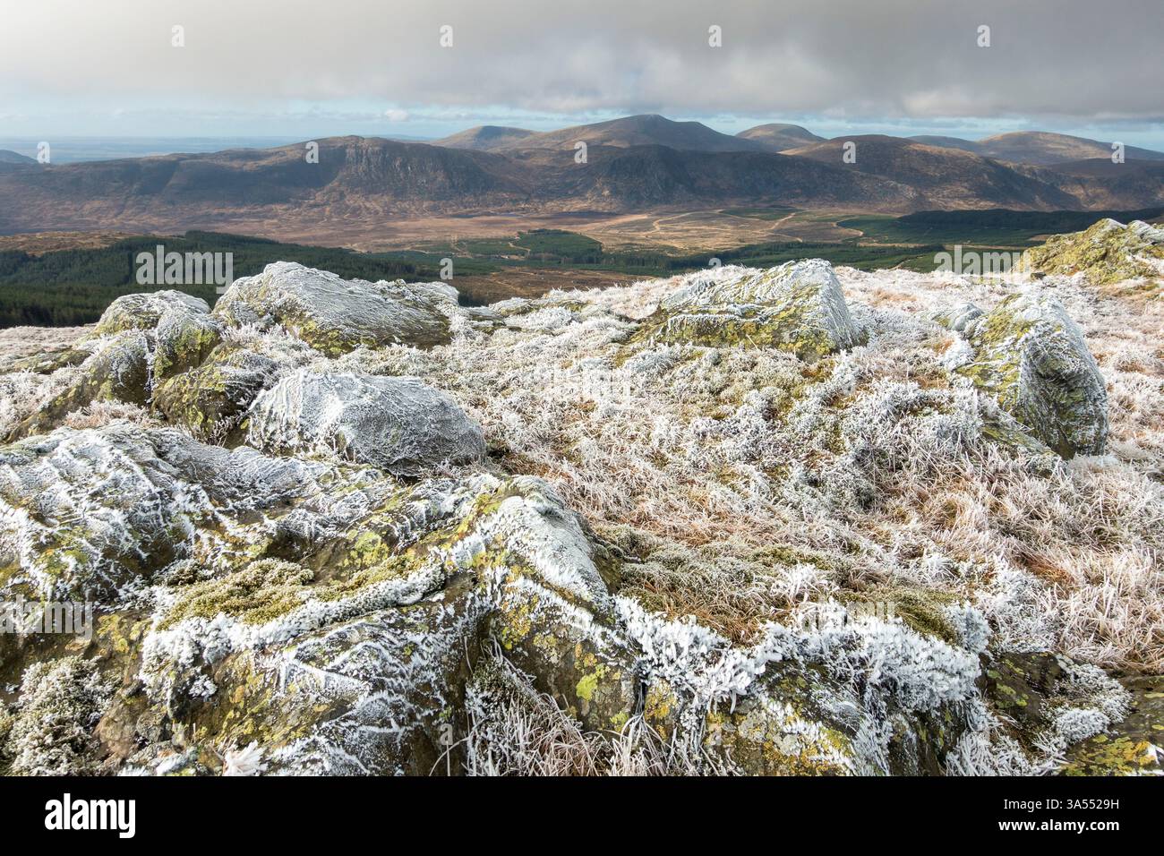 Matinée glaciale froide sur Corserine, Galloway Hills, Dumfries & Galloway, Écosse Banque D'Images