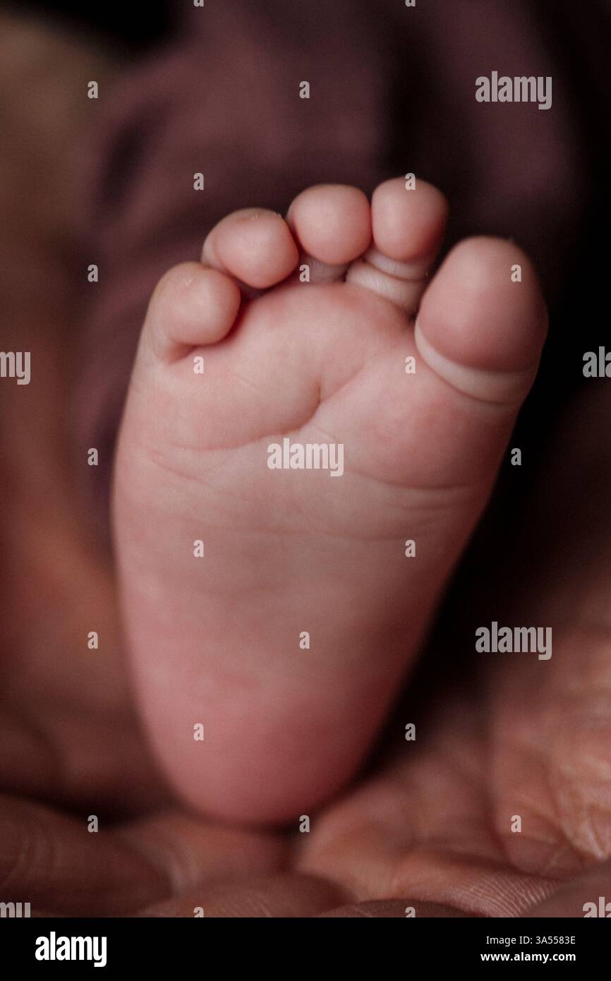 Pied de nouveau-né reposant doucement dans la main de l'adulte. Banque D'Images