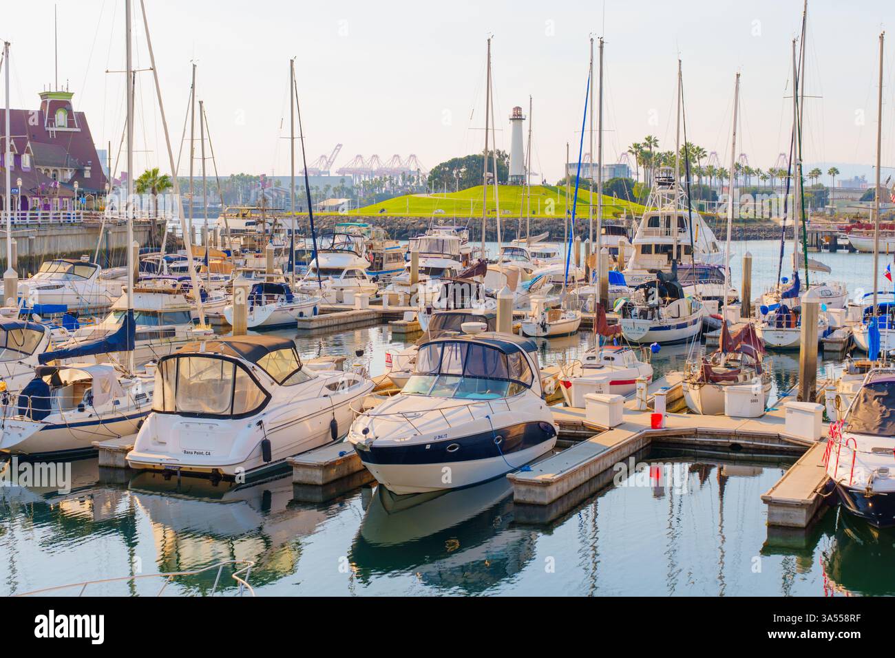 Long Beach, Californie - 11 janvier 2025 : marina animée à long Beach, Californie, avec de nombreux yachts et bateaux amarrés, avec les Lions Lighthous Banque D'Images
