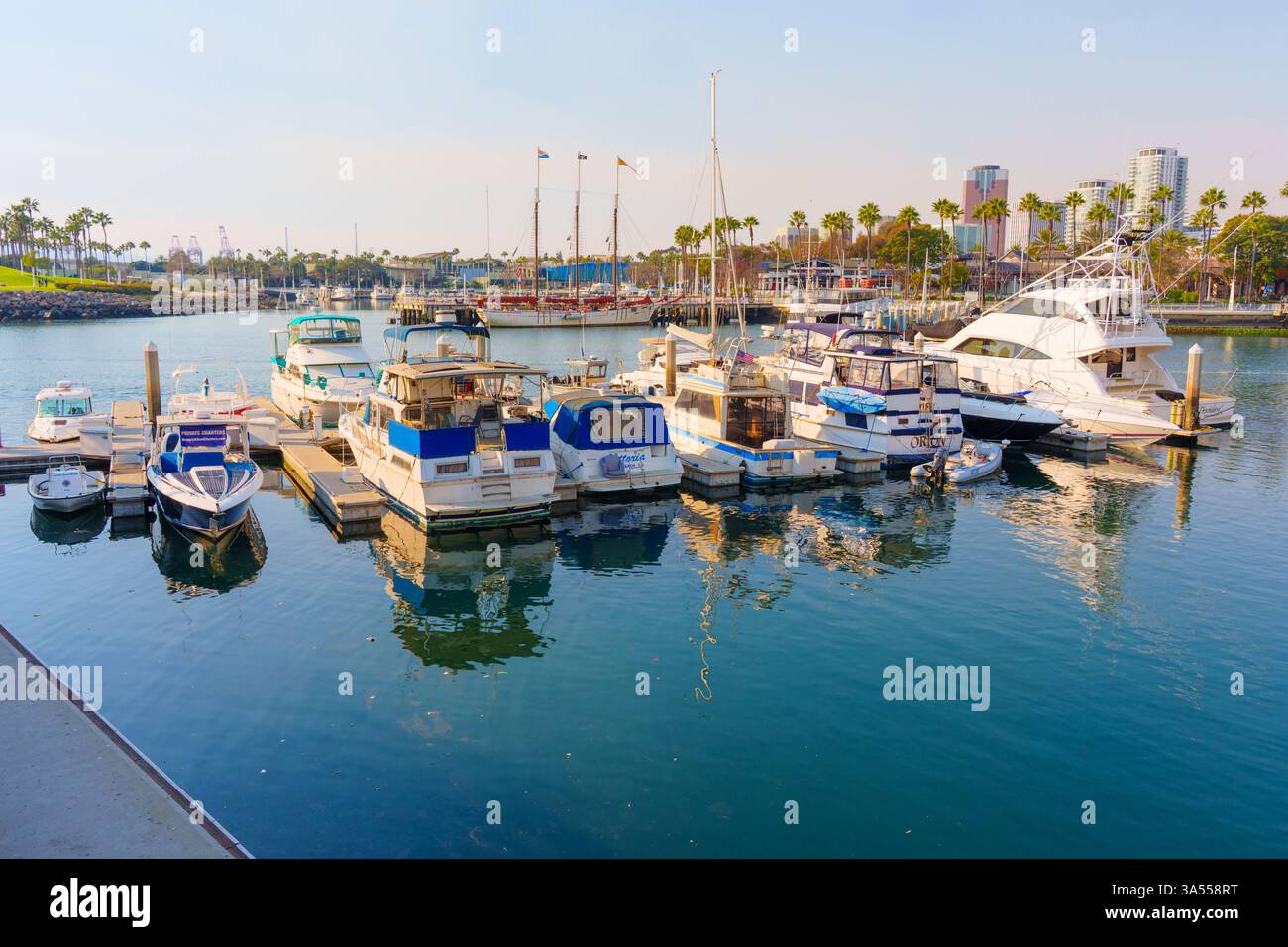 Long Beach, Californie - 11 janvier 2025 : la collection dynamique de bateaux amarrés à Rainbow Harbor à long Beach présente différentes tailles et styles sous Banque D'Images