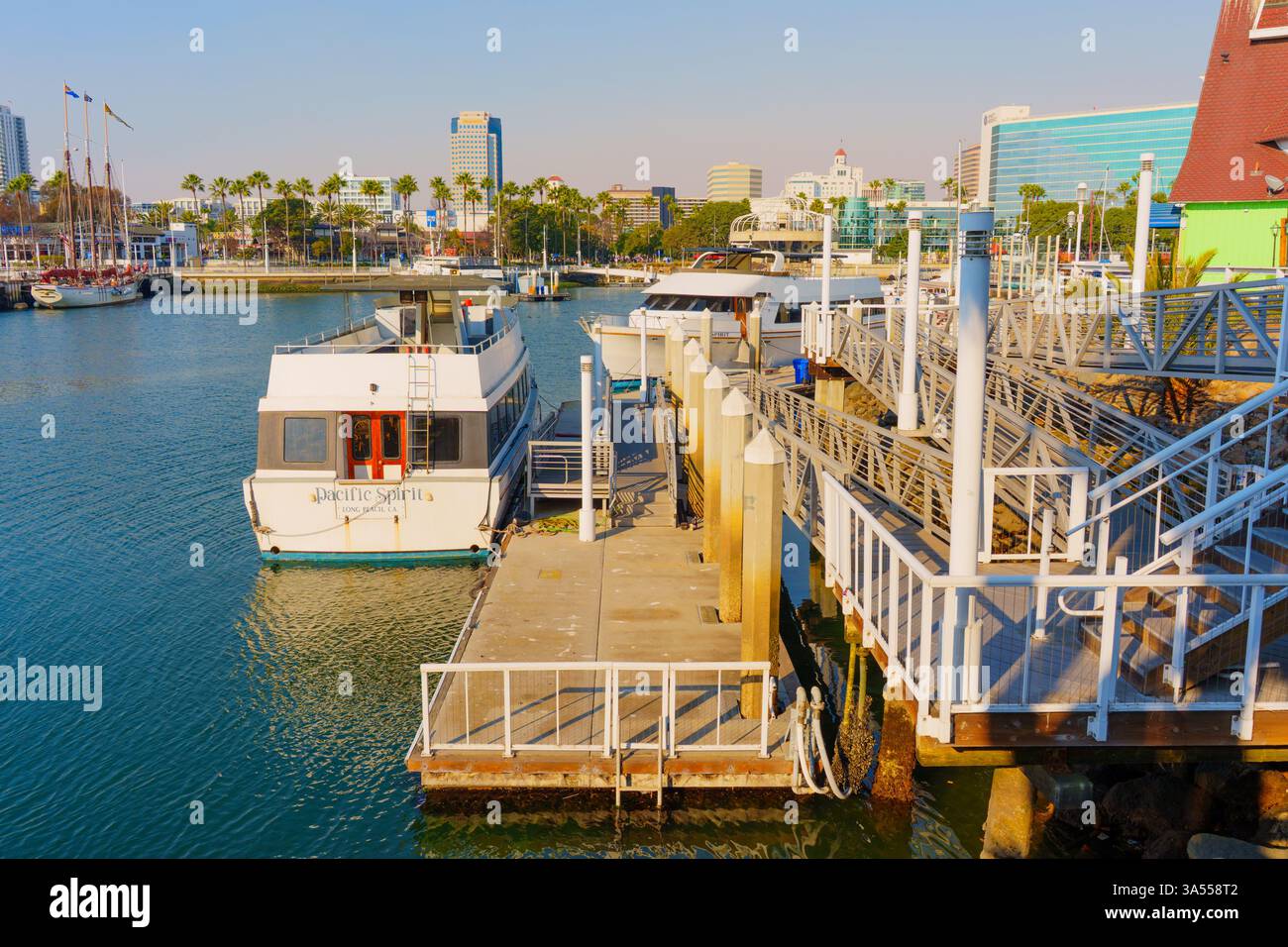 Long Beach, Californie - 11 janvier 2025 : vue grand angle du port de long Beach avec un bateau amarré, front de mer, palmiers et horizon de la ville, Banque D'Images