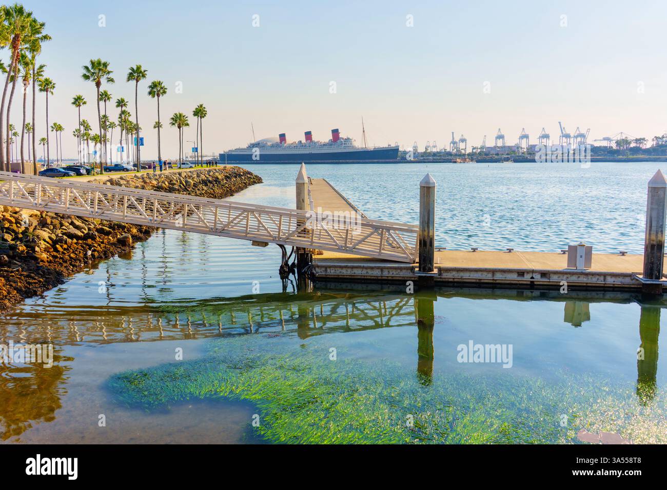 Long Beach, Californie - 11 janvier 2025 : la beauté pittoresque de l'emblématique Queen Mary à long Beach, avec des palmiers et des eaux tranquilles créant une atmosphère sereine Banque D'Images