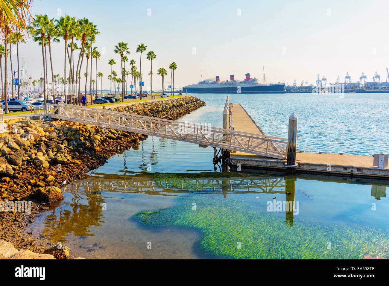 Long Beach, Californie - 11 janvier 2025 : vue imprenable sur le Queen Mary et son front de mer environnant à long Beach, avec des palmiers vibrants Banque D'Images