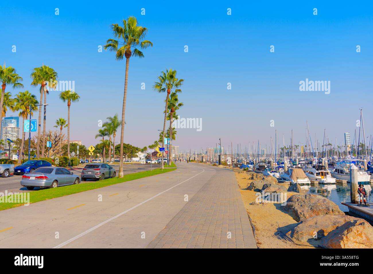 Long Beach, Californie - 11 janvier 2025 : vue panoramique sur la promenade de la marina de long Beach bordée de palmiers, de voitures garées et d'un port rempli de Banque D'Images