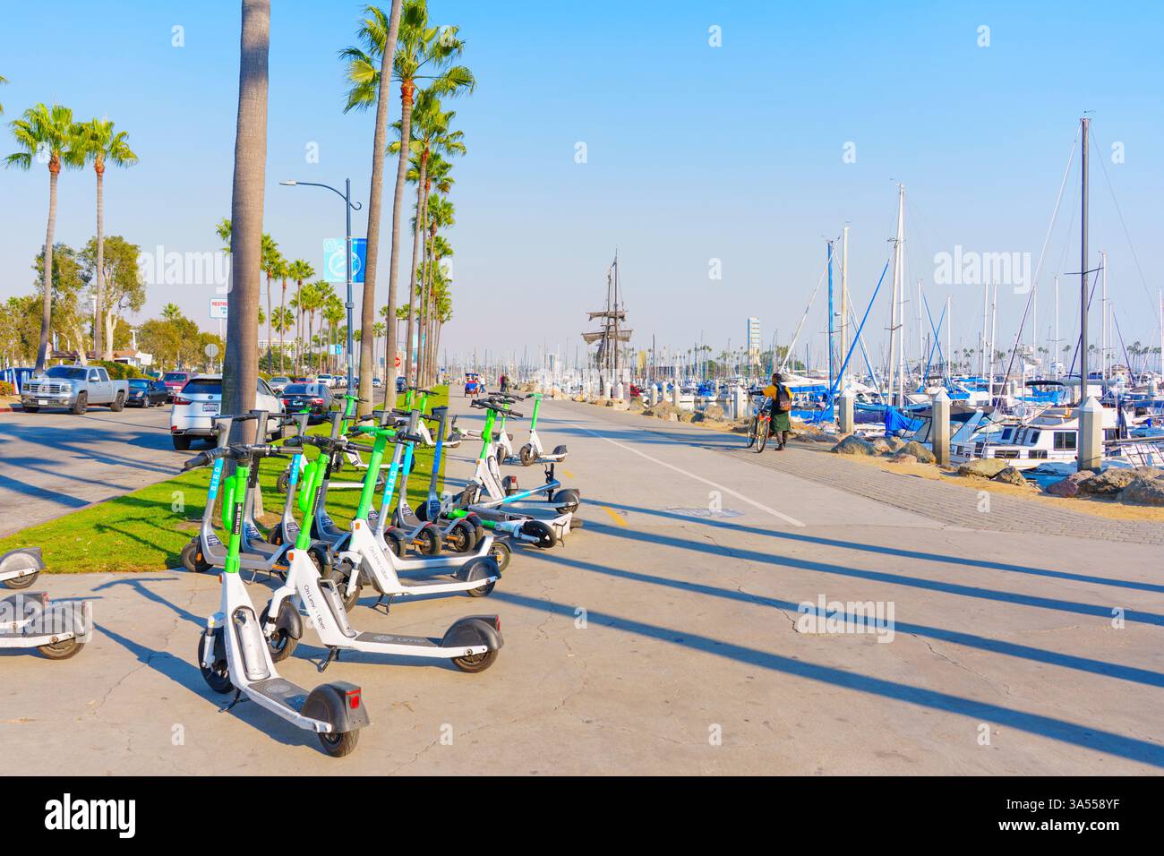 Long Beach, Californie - 11 janvier 2025 : rangée de scooters électriques garés sur la promenade du front de mer à long Beach, Californie, avec des palmiers Banque D'Images