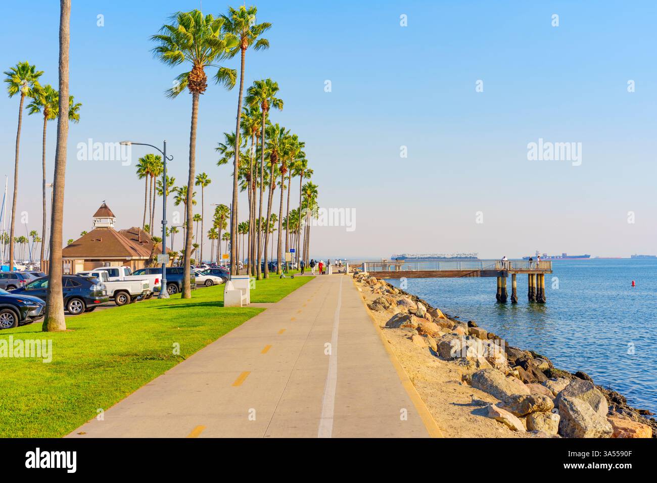Long Beach, Californie - 11 janvier 2025 : sentier serein à long Beach, Californie, avec des palmiers, un océan bleu vif et une jetée en bois, pe Banque D'Images