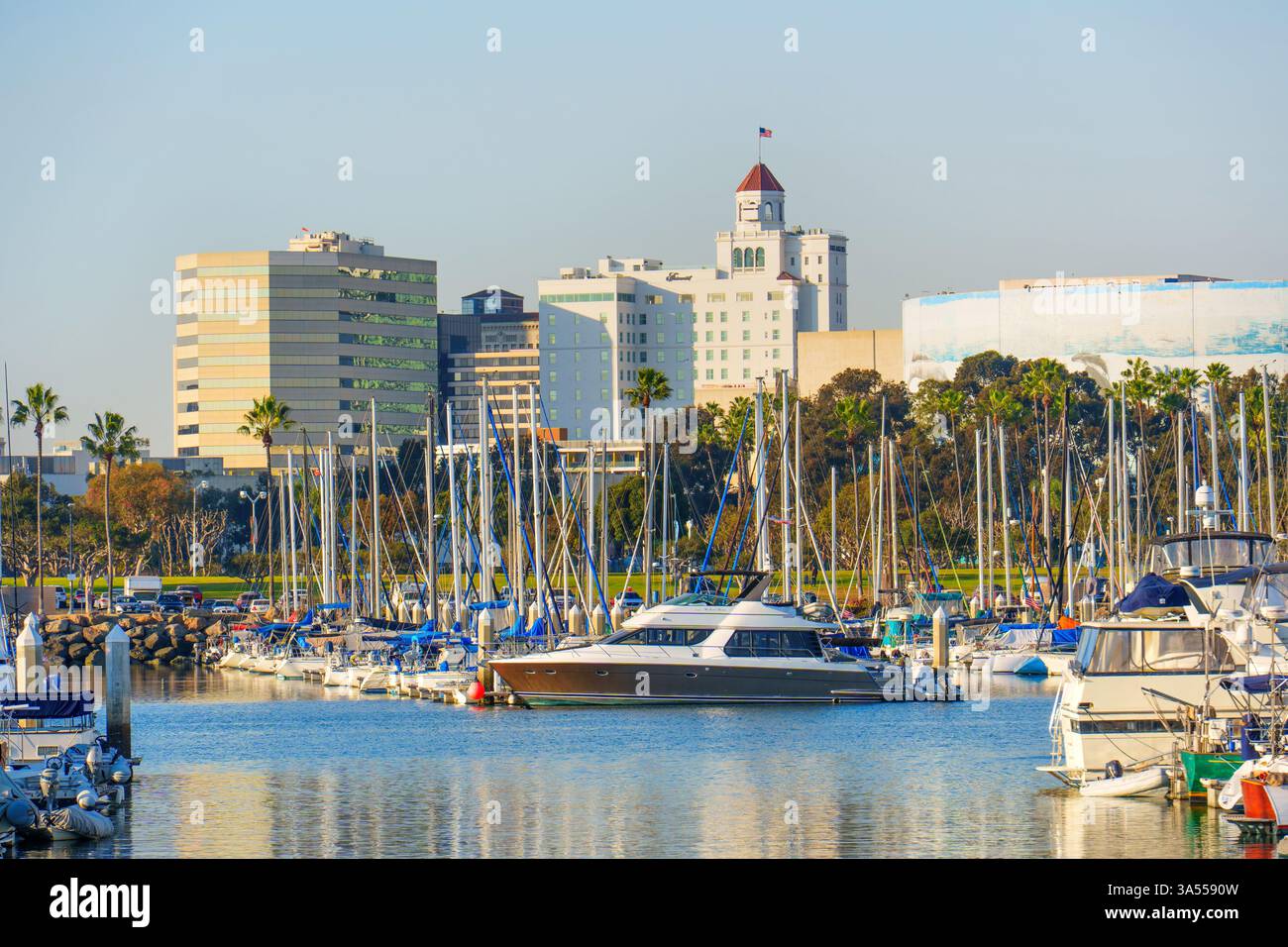 Long Beach, Californie - 11 janvier 2025 : vue panoramique sur le port de long Beach avec divers yachts et voiliers amarrés, avec l'emblématique Fairmont Ho Banque D'Images