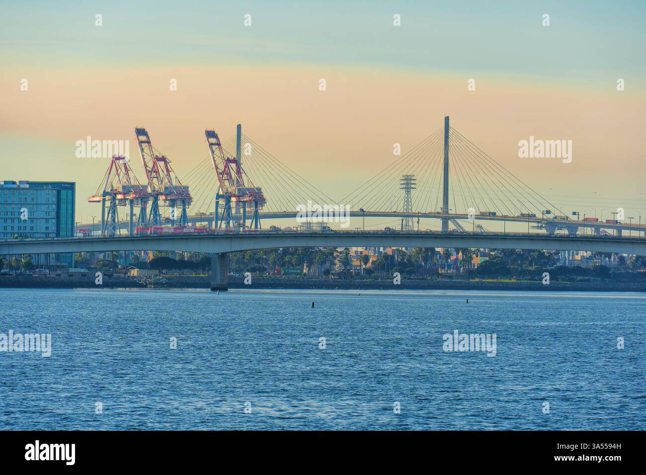 Long Beach, Californie - 11 janvier 2025 : vue sereine sur le front de mer d'un pont à haubans et d'imposantes grues portuaires à long Beach, Californie, showc Banque D'Images