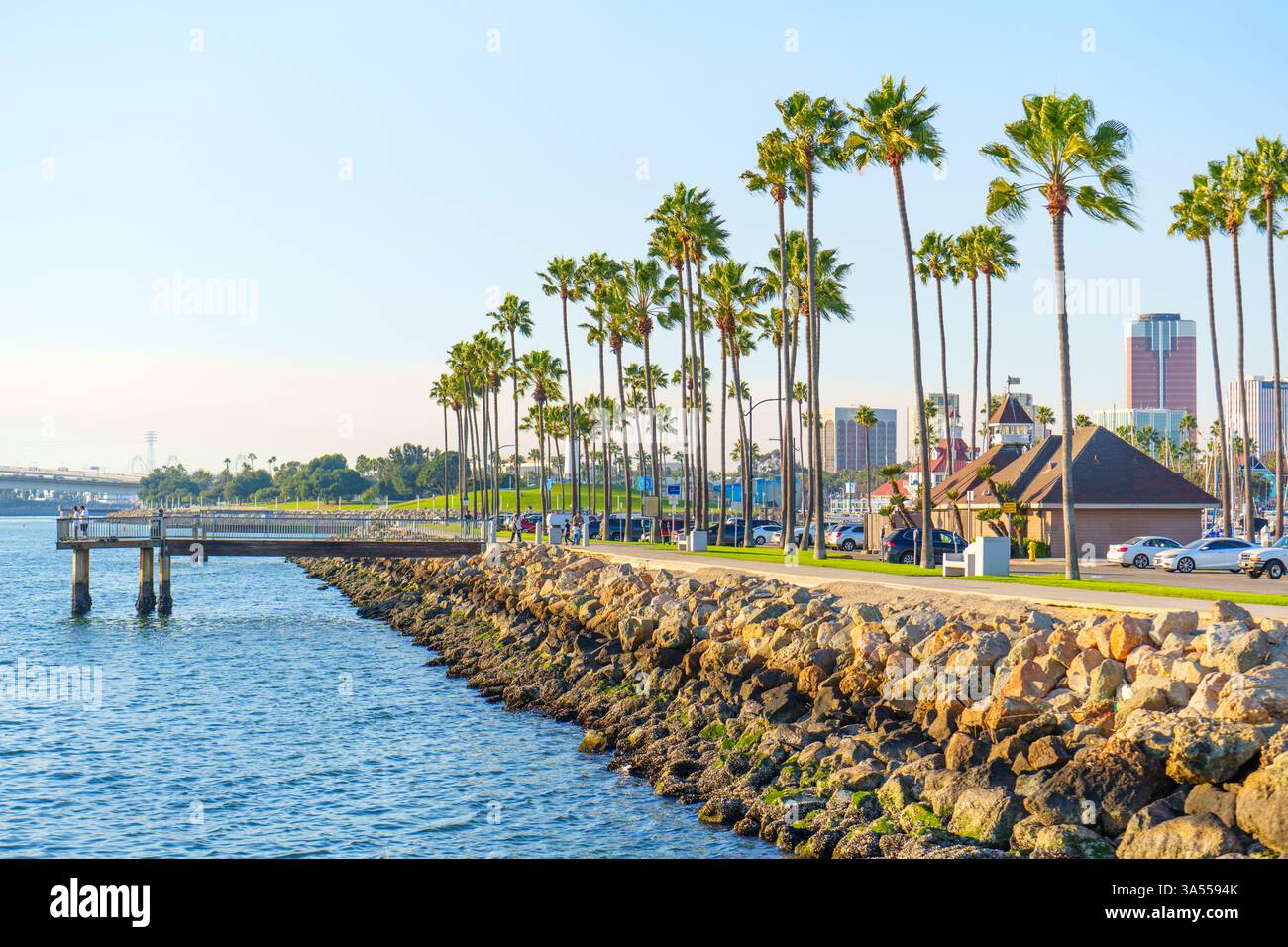 Long Beach, Californie - 11 janvier 2025 : la promenade pittoresque en bord de mer présente de grands palmiers bordant la côte, avec une jetée s'étendant sur l'aile calme Banque D'Images