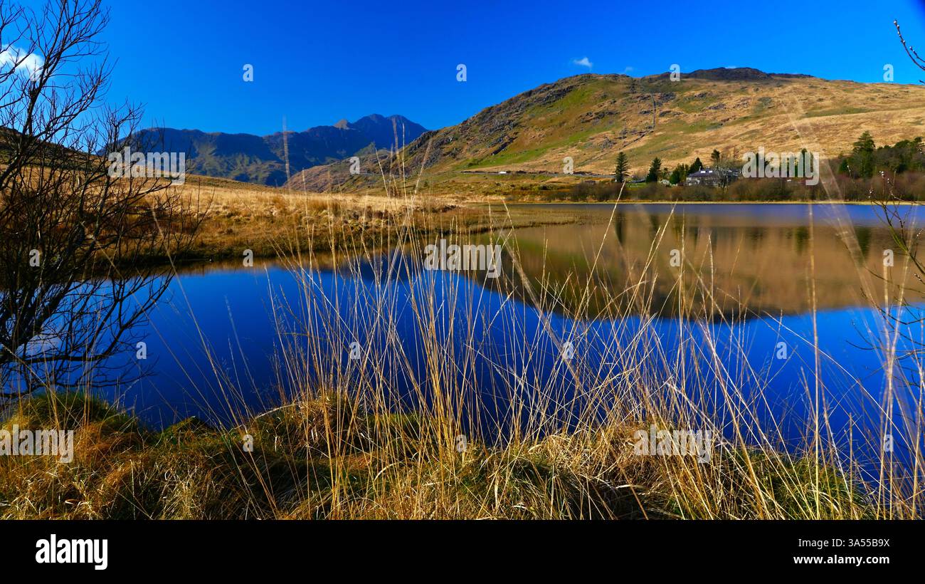 Vue sur le lac calme de Llyn Pen-y-Gwryd (également Llyn Lockwood) en regardant y Lliwedd partie du fer à cheval de Snowdon dans le parc national d'Eryri PAYS DE GALLES Royaume-Uni Banque D'Images