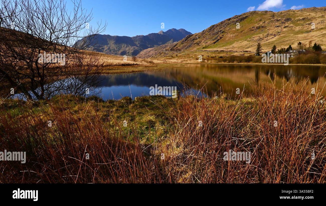 Vue sur le lac calme de Llyn Pen-y-Gwryd (également Llyn Lockwood) en regardant y Lliwedd partie du fer à cheval de Snowdon dans le parc national d'Eryri PAYS DE GALLES Royaume-Uni Banque D'Images