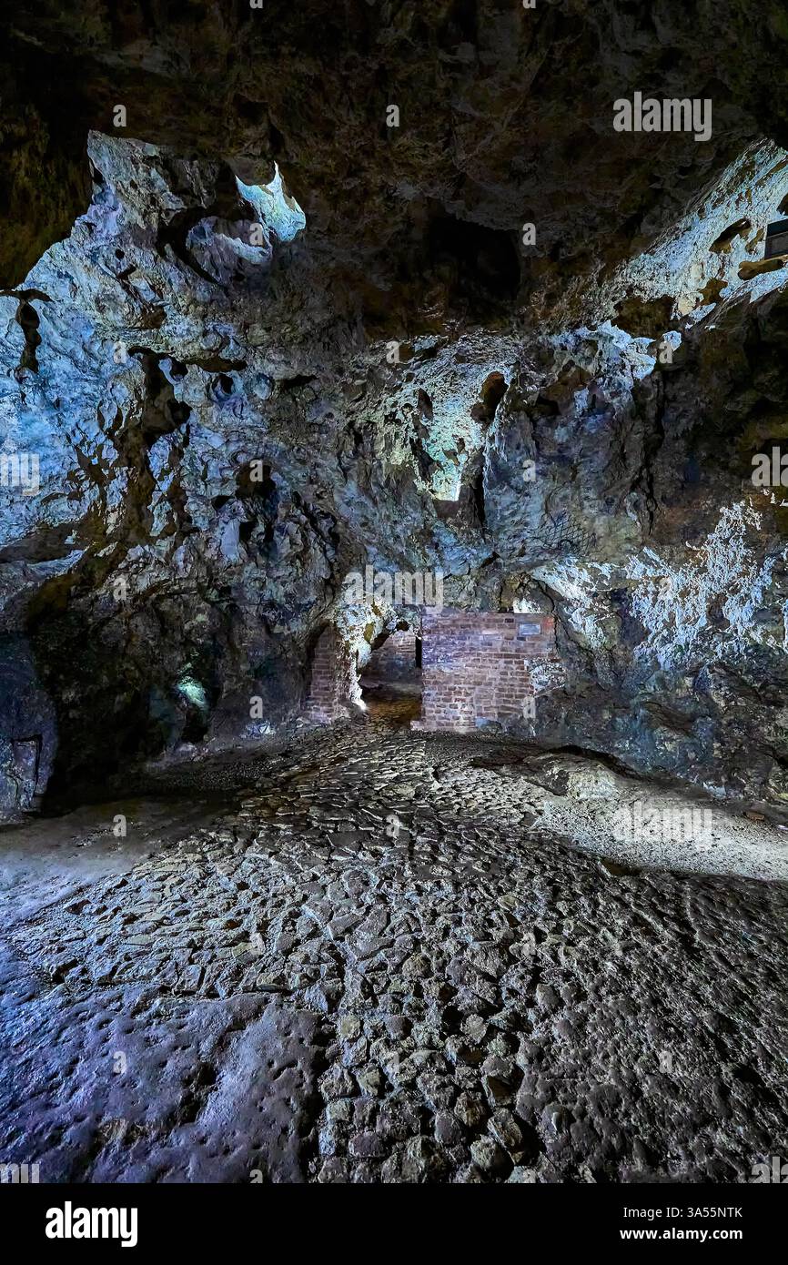 Grotte du dragon de Wawel en contrebas de la falaise au château et à la cathédrale de Cracovie, le dragon est un dragon célèbre dans le folklore polonais, Cracovie, Pologne, Europe Banque D'Images