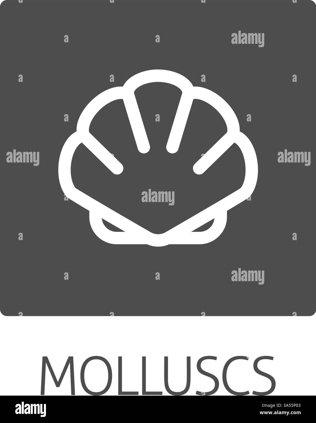 Coquillage coquillage mollusque mollusque de fruits de mer icône de nourriture Illustration de Vecteur