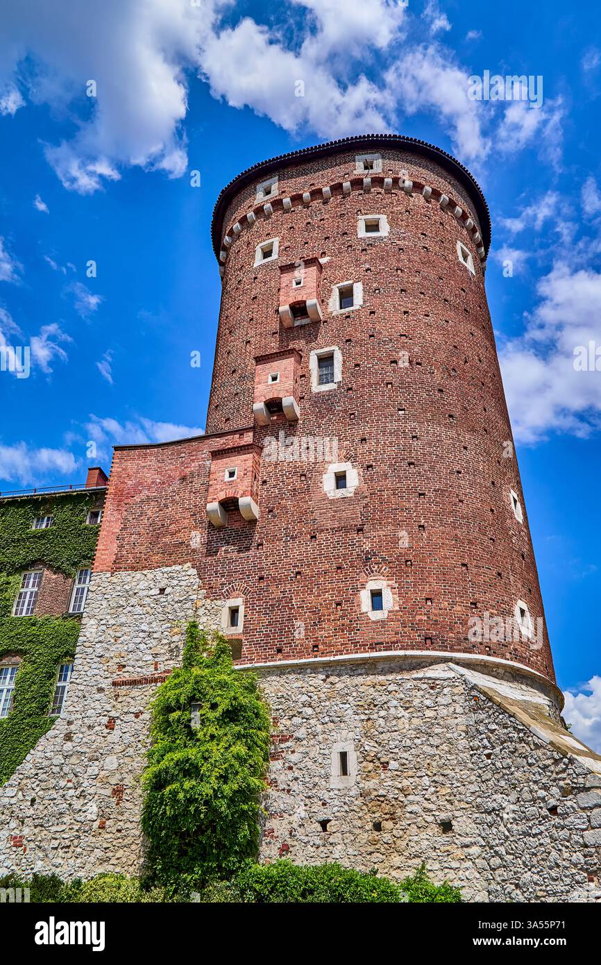 La tour Sandomierska et les remparts défensifs médiévaux du château de Wawel à Cracovie, la tour a été construite au 14ème siècle, Cracovie, Pologne, Europe Banque D'Images La tour Sandomierska et les remparts défensifs médiévaux du château de Wawel à Cracovie, la tour a été construite au 14ème siècle, Cracovie, Pologne, Europe Banque D'Images