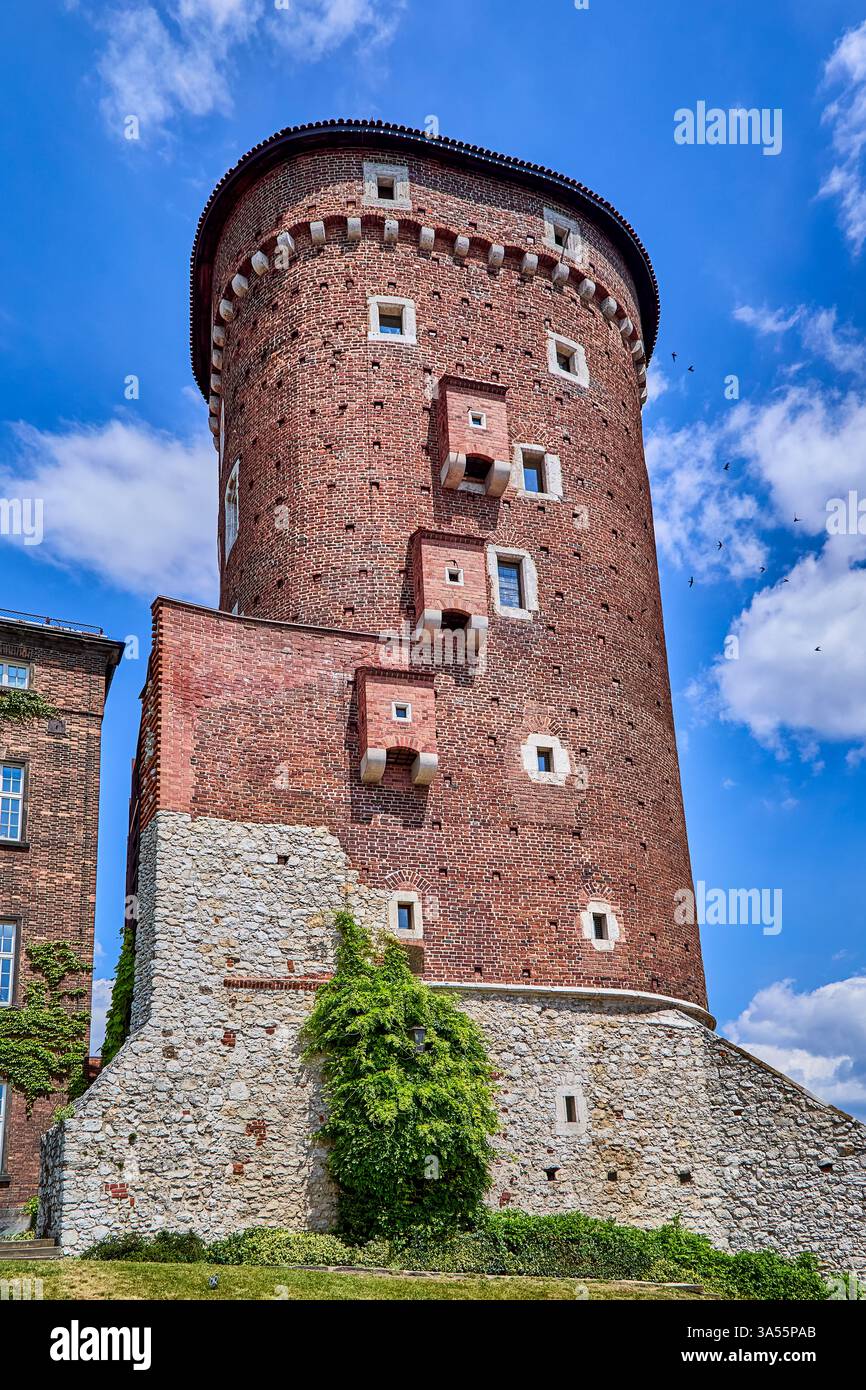 La tour Sandomierska et les remparts défensifs médiévaux du château de Wawel à Cracovie, la tour a été construite au 14ème siècle, Cracovie, Pologne, Europe Banque D'Images La tour Sandomierska et les remparts défensifs médiévaux du château de Wawel à Cracovie, la tour a été construite au 14ème siècle, Cracovie, Pologne, Europe Banque D'Images