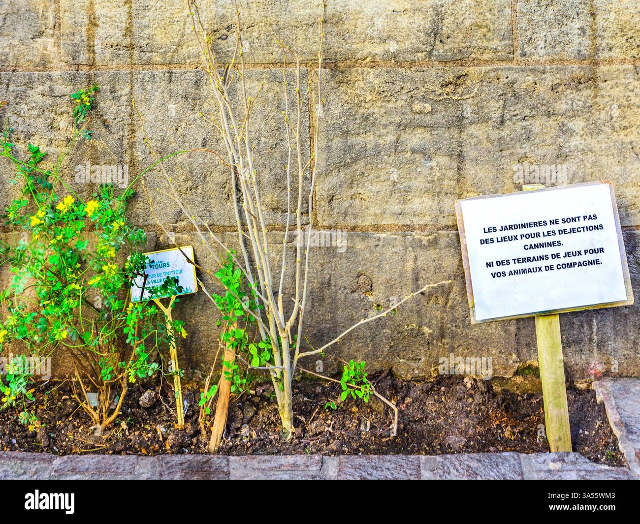 Petit jardin public créé en centre-ville avec avis avertissement ne pas utiliser pour les chiens - Tours, Indre-et-Loire (37), France. Banque D'Images