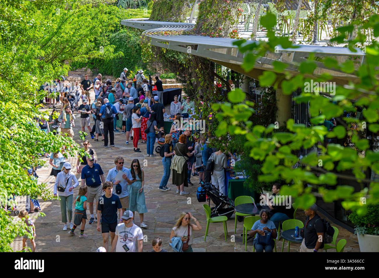 Visiteurs à l'Arboretum de Dallas, Texas, États-Unis - photo : Geopix/NASA/Keegan Barber Banque D'Images