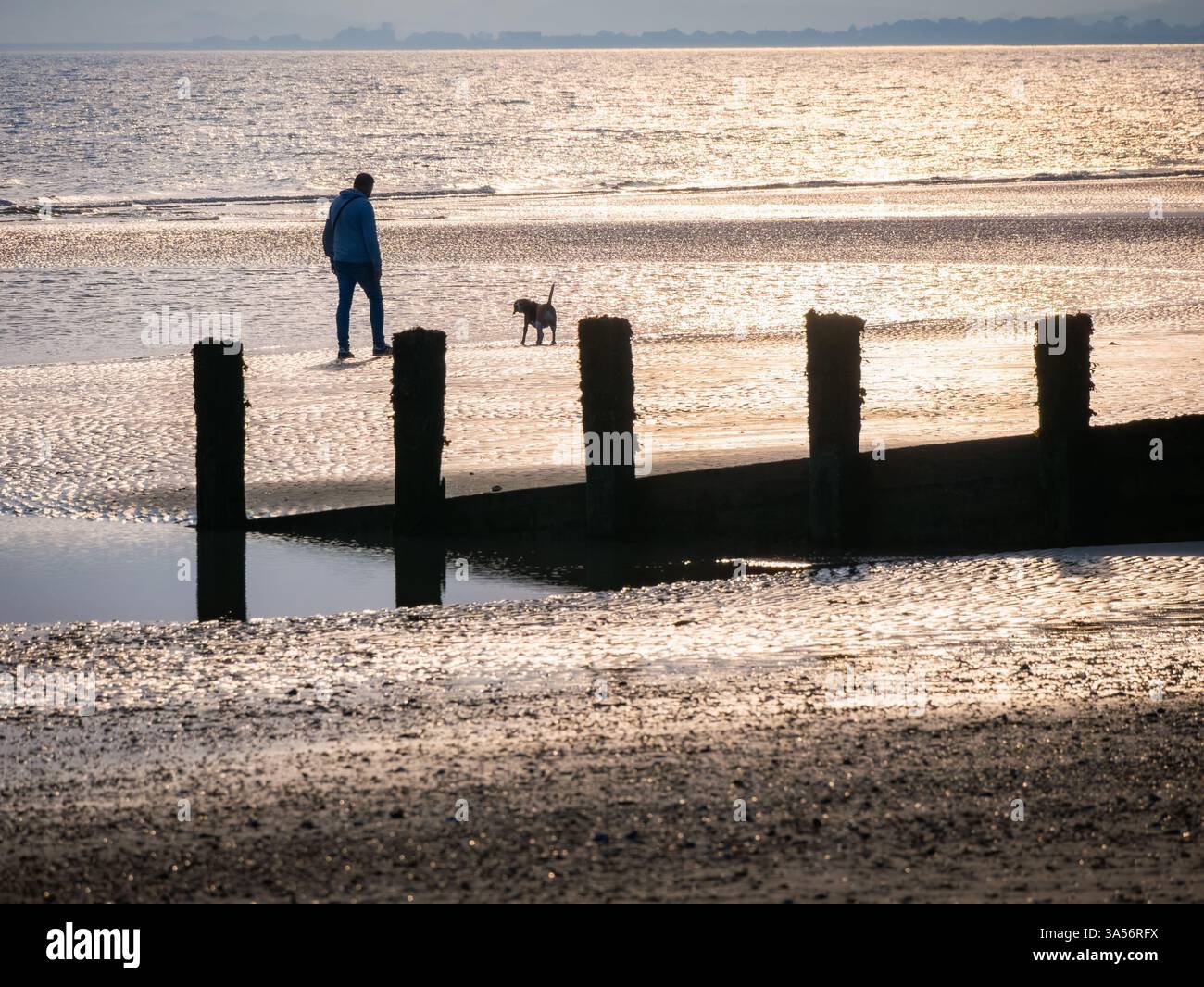 Silhouette d'une personne promenant son chien sur une plage vide avec la marée à Camber Sands Banque D'Images
