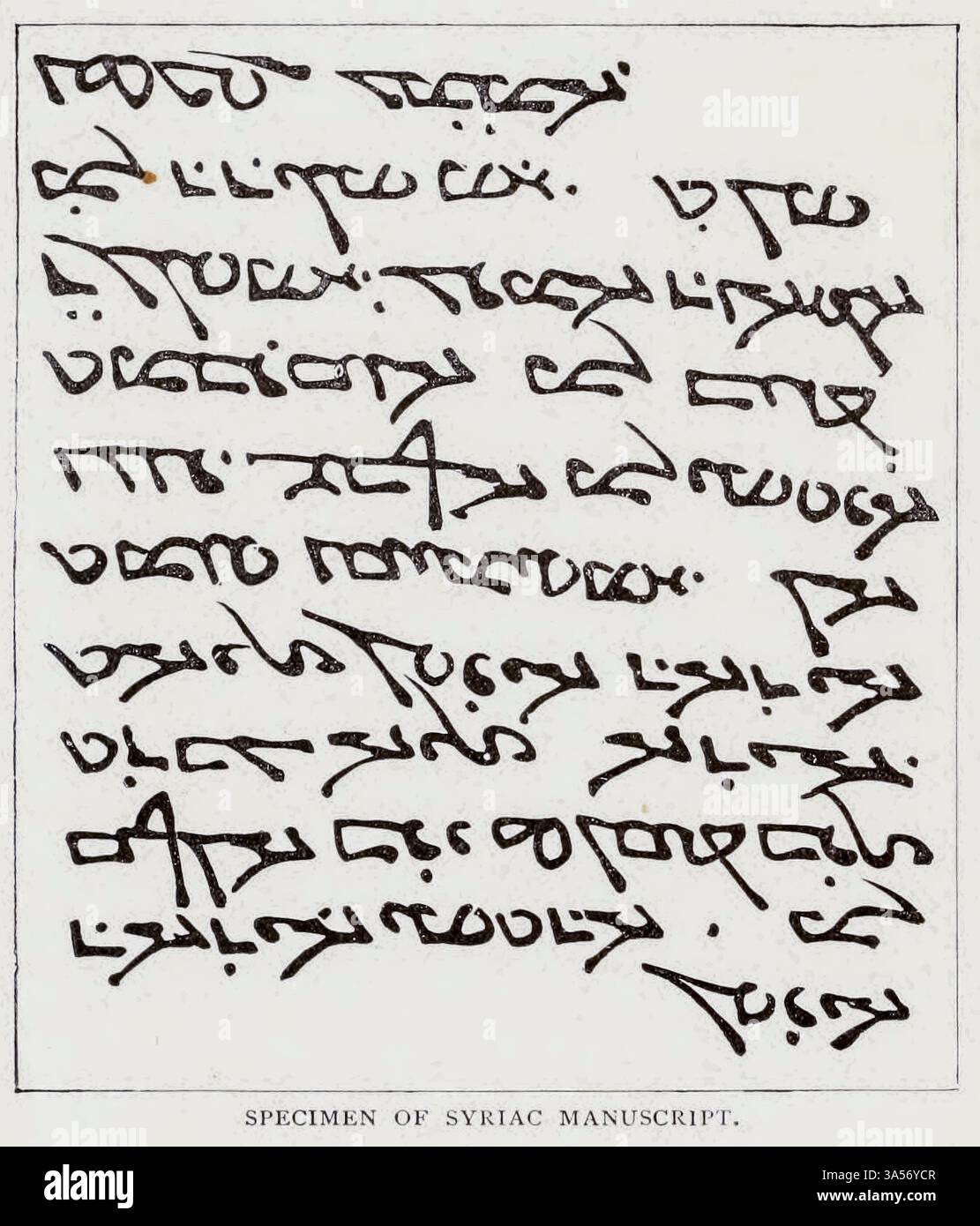 Manuscrit syriaque de la partie III Sémites et Hamites LIVRE XVI Cananéens et Syriens. Chapitre CXIII L'histoire universelle de Phéniciens Ridpath : un compte rendu de l'origine, de la condition primitive et du développement ethnique des grandes races de l'humanité, et des principaux événements dans l'évolution et le progrès de la vie civilisée entre les hommes et les Nations, à partir de sources récentes et authentiques avec une enquête préliminaire sur le temps, le lieu et la manière du commencement par Ridpath, John Clark, 1840-1900 volume 5 1897 Banque D'Images