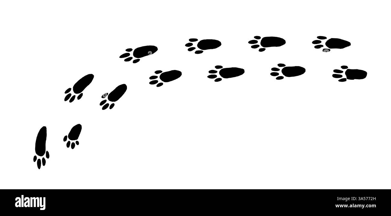 Curieuses empreintes de lapin traçant un chemin ludique à travers un paysage enneigé à l'aube Illustration de Vecteur