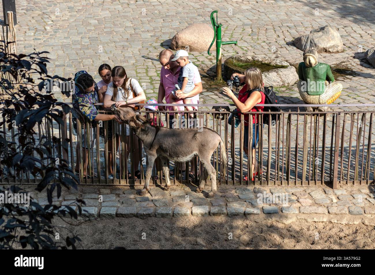 Berlin, Allemagne, 24 juillet 2022 : les visiteurs du zoo interagissent avec un âne à travers une clôture au zoo de Berlin dans la ville de Berlin. Banque D'Images