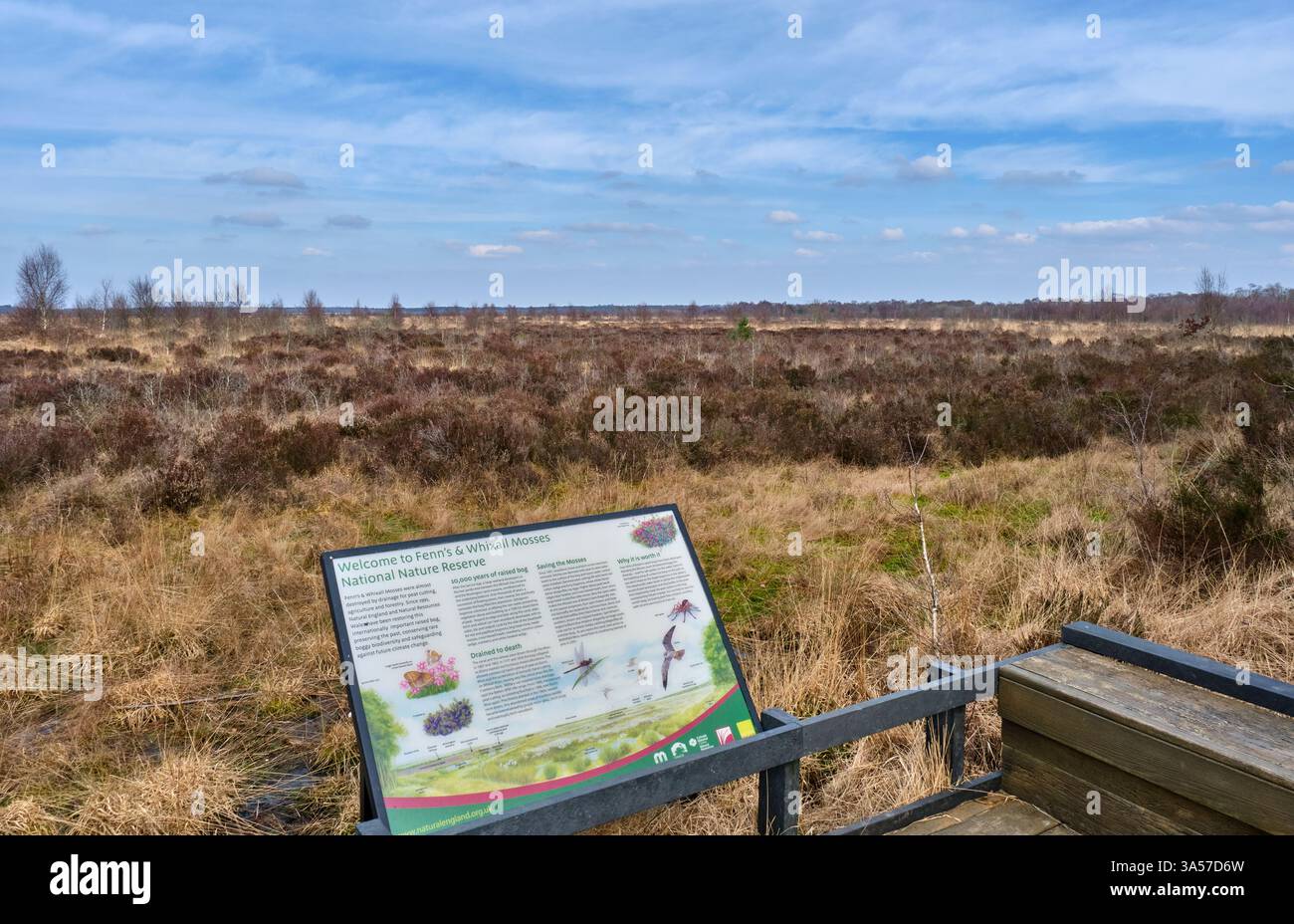 Réserve naturelle nationale de Fenn's, Whixall et Bettisfield Mosses, près de Whixall, Shropshire Banque D'Images