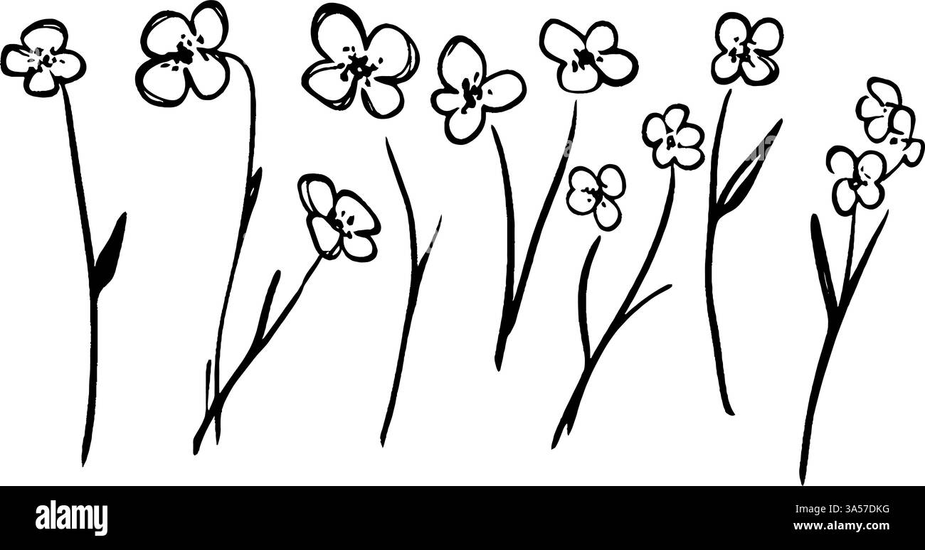 Une collection de fleurs dessinées à la main avec des contours simples et des détails minimes, mettant en valeur diverses formes de fleurs et des tiges minces. Illustration de Vecteur