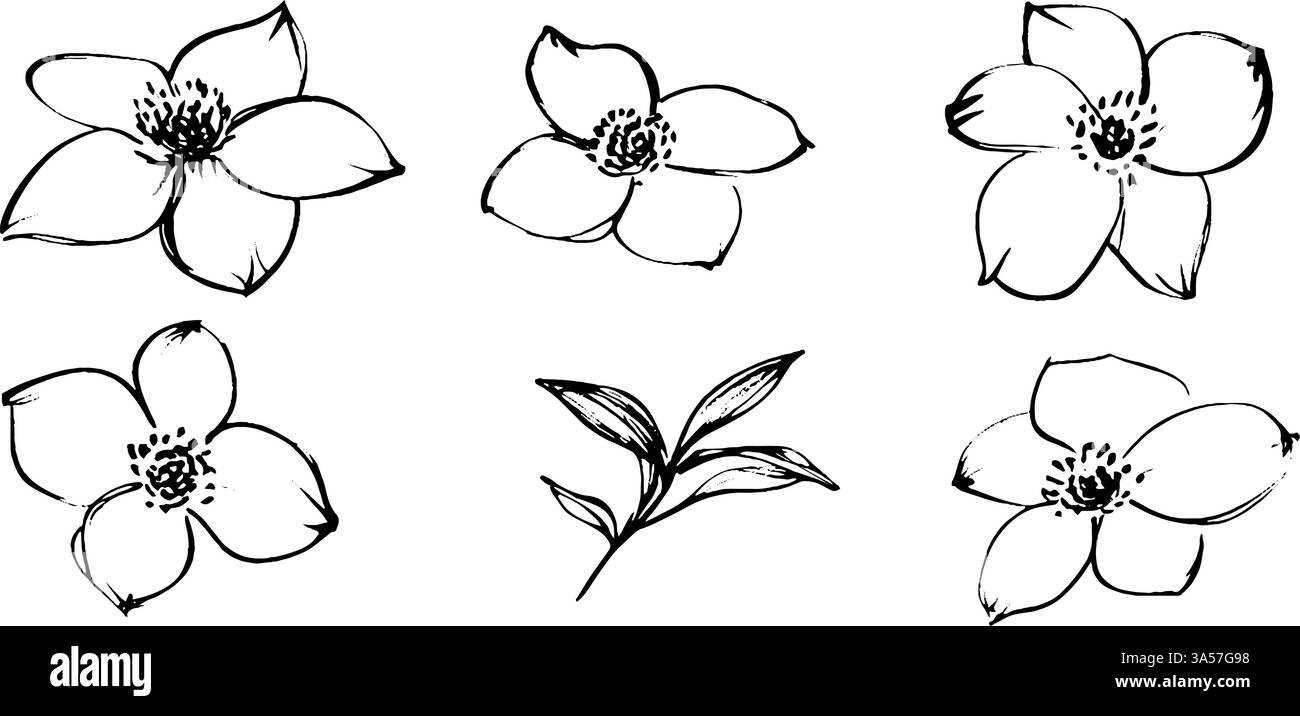 Une collection de six illustrations florales dessinées à la main avec divers motifs floraux et une petite branche de feuille. Les fleurs sont entourées en noir avec Illustration de Vecteur
