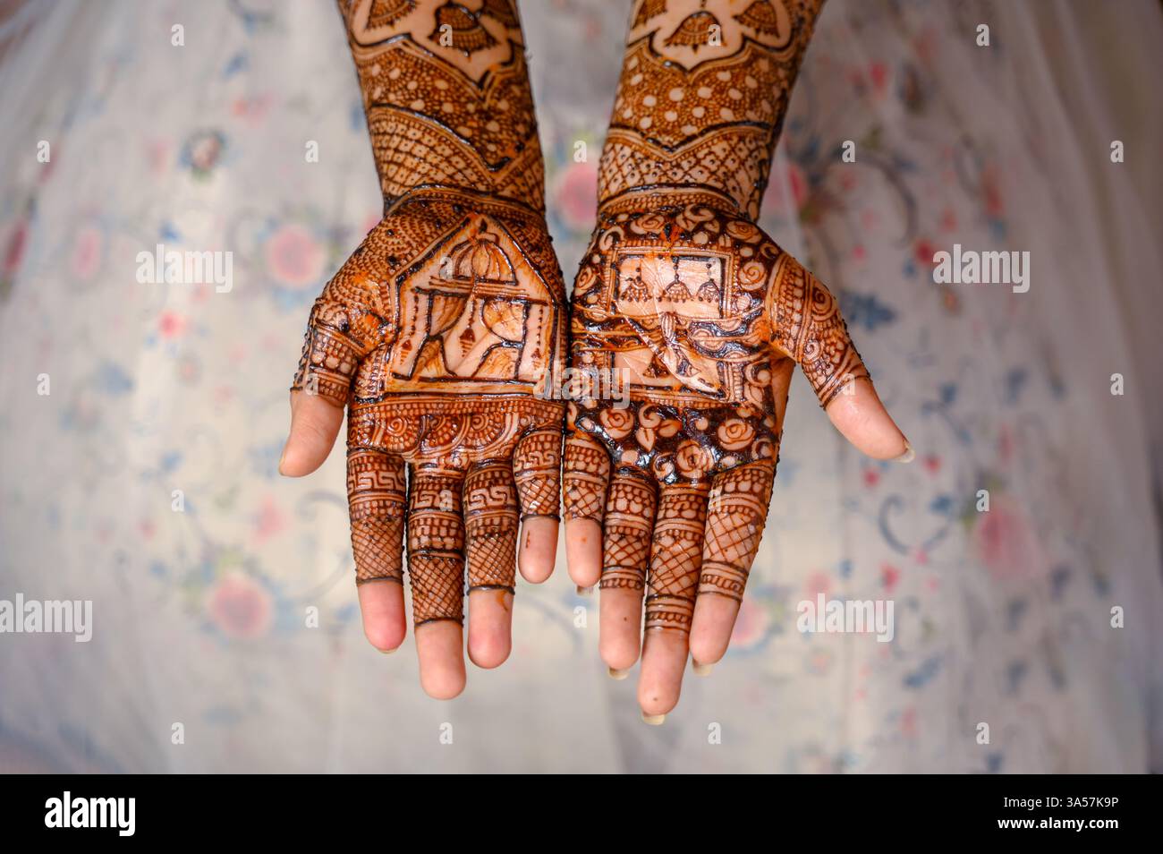 Mehndi design fait sur les mains de la mariée pendant le mariage indien hindou. Banque D'Images