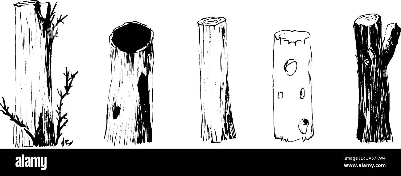 Une collection de cinq types différents de souches d'arbres et de bûches, présentant diverses textures et formes. Certains ont des branches, tandis que d'autres sont creux ou Illustration de Vecteur
