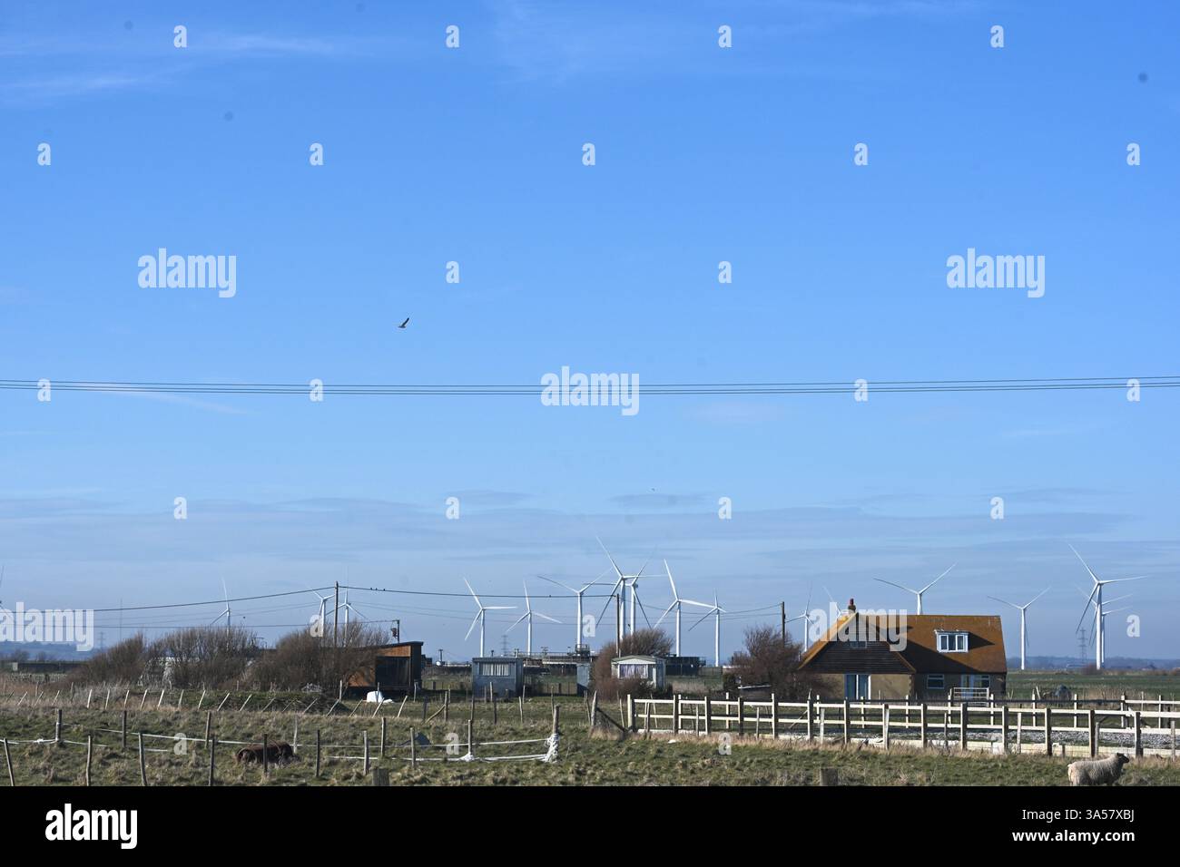 parc éolien de campagne sur les sables de cambre en angleterre Banque D'Images