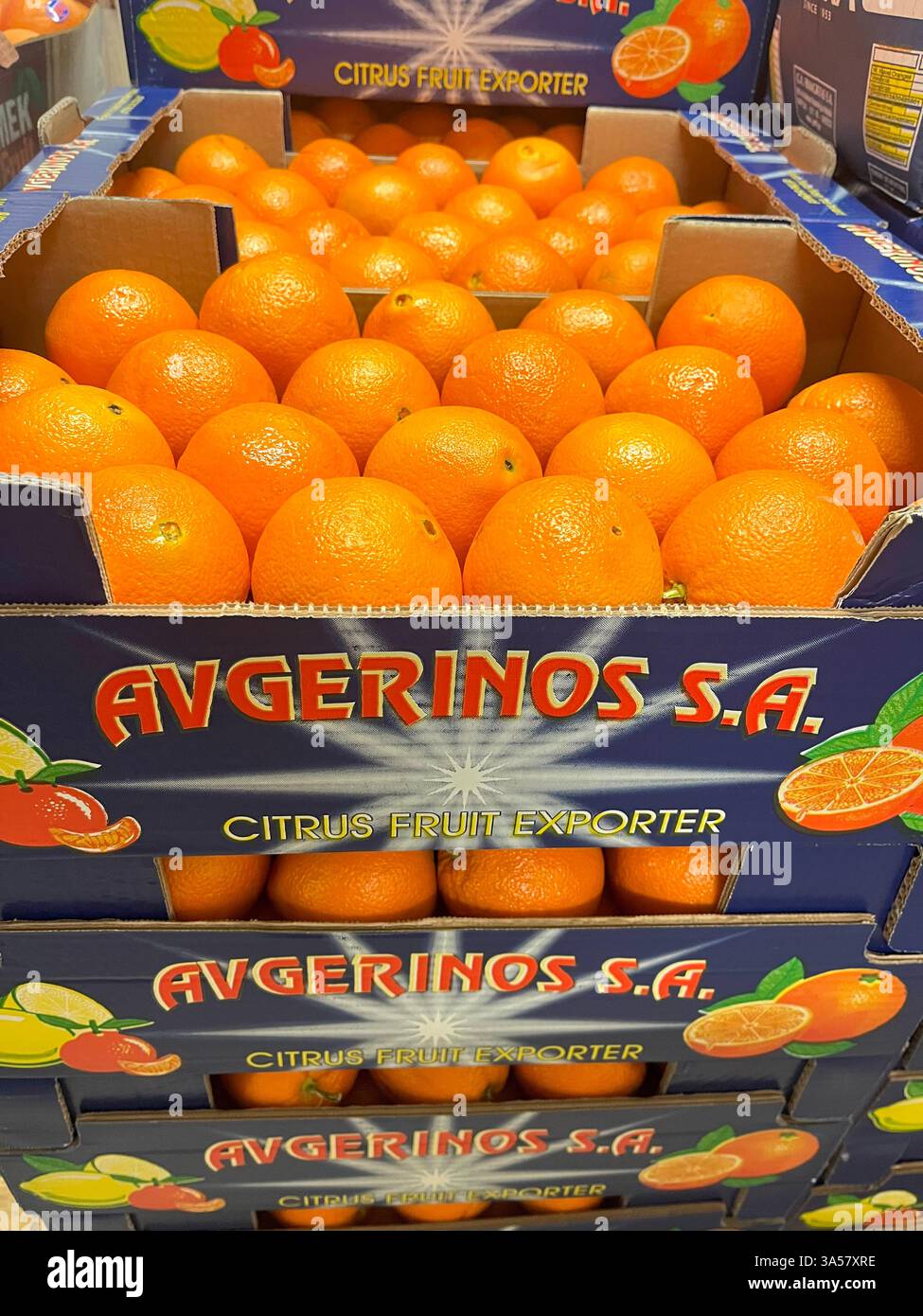 Avgerinos, fournisseur de fruits, fournisseur grec, industrie des fruits, entreprise, agriculture, approvisionnement alimentaire, logistique, stockage des fruits, distribution, chaîne d'approvisionnement Banque D'Images