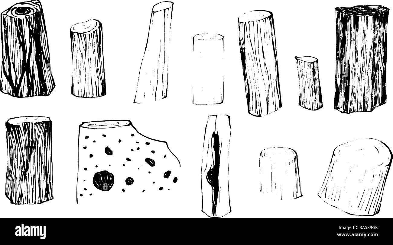 Une collection de bûches de bois dessinées à la main et de souches de différentes formes et tailles, présentant différentes textures et motifs. Illustration de Vecteur