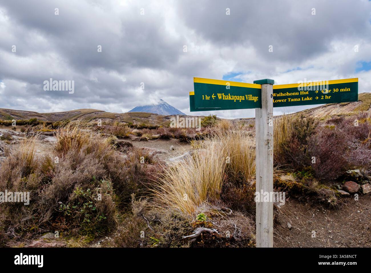 Taranaki Falls Track, Tama Lakes Track et Tongariro Northern circuit panneau de signalisation, Mount Ngauruhoe, Mt Doom en arrière-plan, Tongariro National Park Banque D'Images