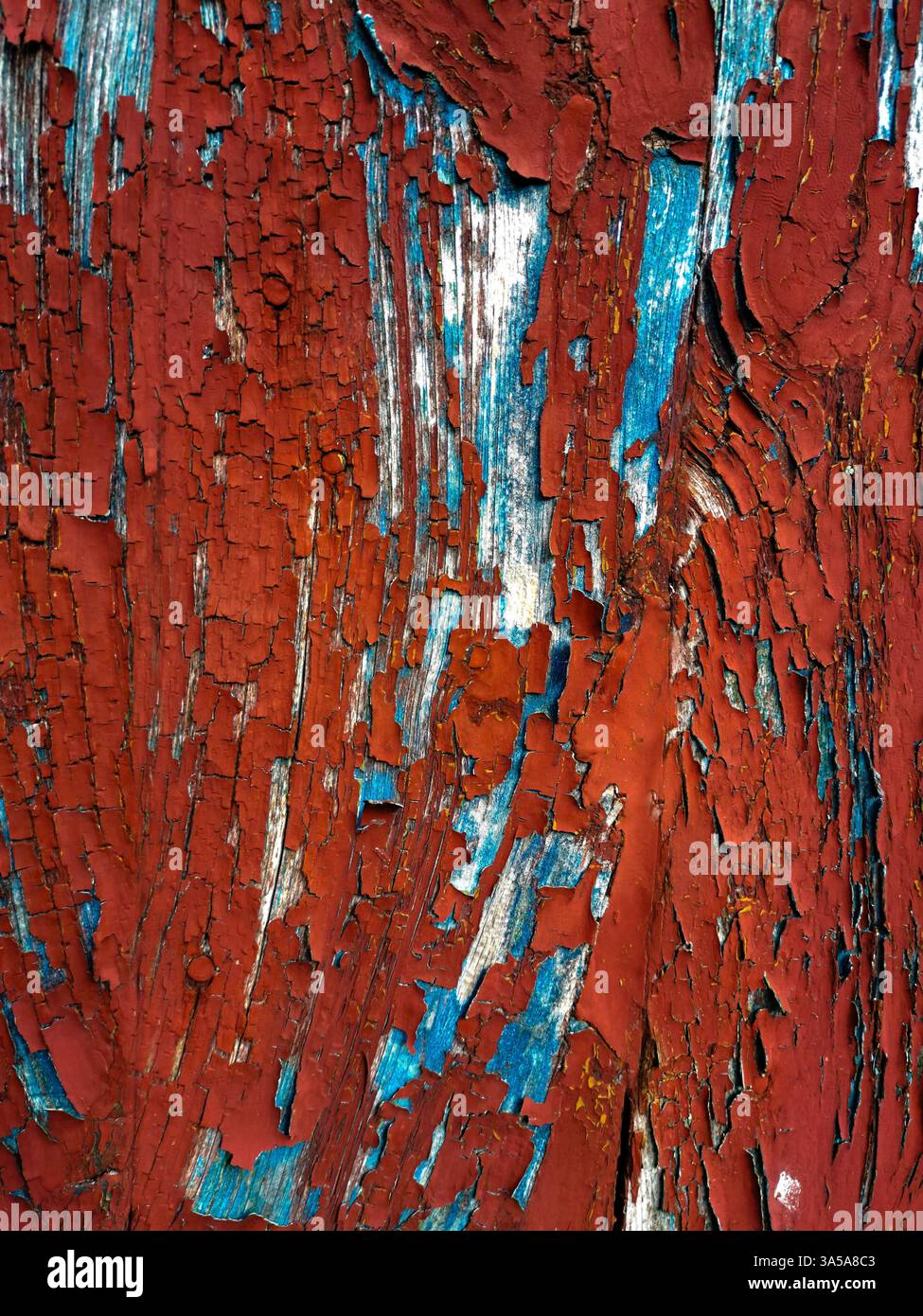Vue rapprochée d'une surface en bois altérée présentant des motifs complexes de peinture rouge et bleue écaillée. La texture raconte une histoire d'âge et d'exposition Banque D'Images