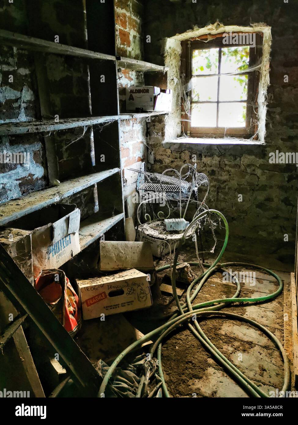 Salle de stockage poussiéreuse avec étagères cassées et fenêtre envahie dans un vieux bâtiment Banque D'Images