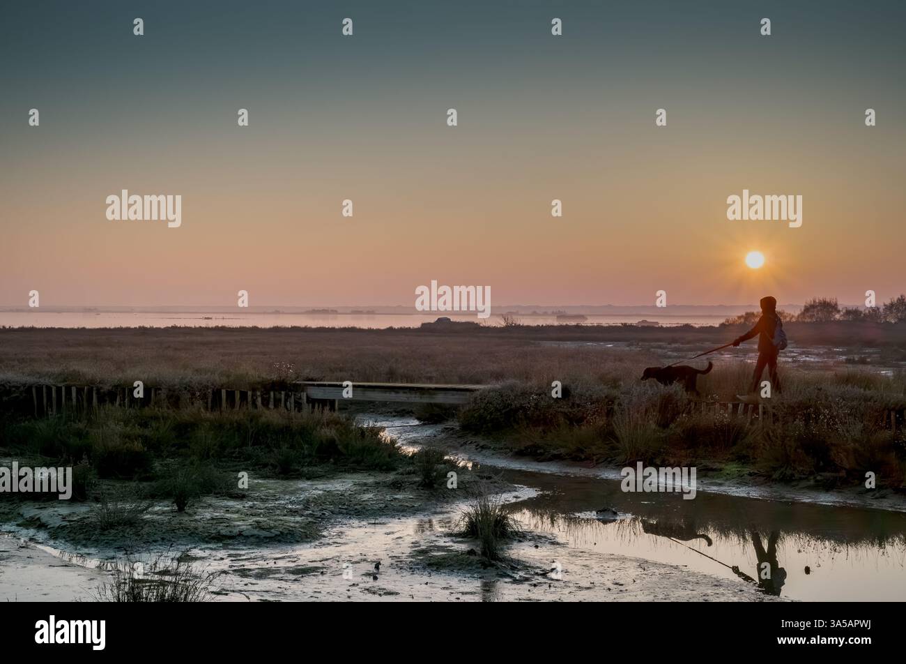 Paysage d'une lagune au coucher du soleil avec une femme marchant avec son chien sur un chemin, Casal Borsetti Lagoon, Ravenne, Emilie-Romagne, Italie. Po Delta Regional Banque D'Images