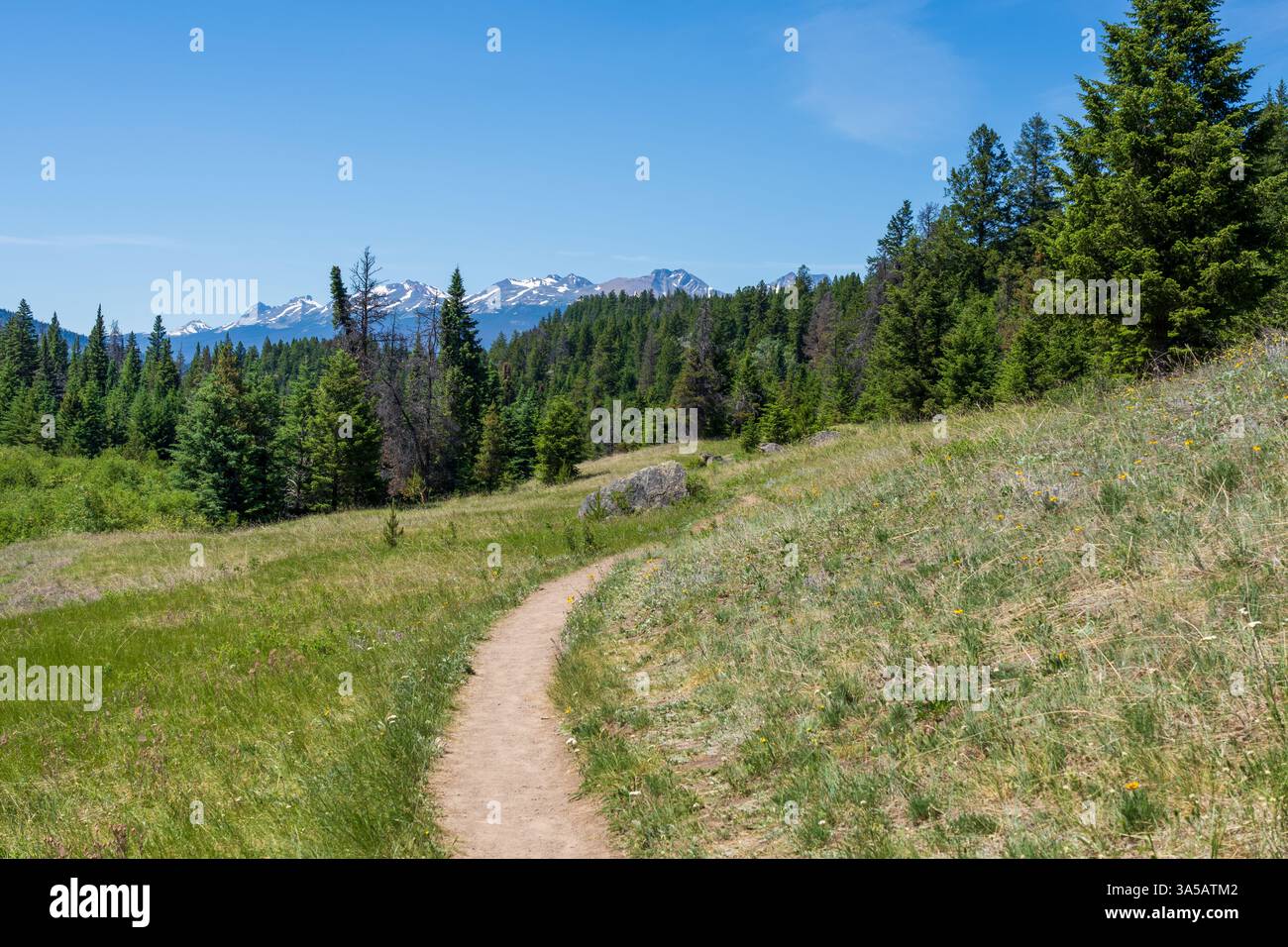 Sentier de randonnée panoramique jusqu'à la vallée des cinq lacs dans le parc national Jasper, Alberta, Canada. Banque D'Images