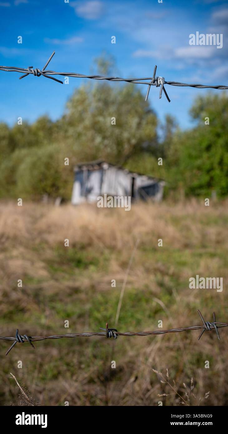 9x16 détails gros plan clôture barbelée paysage rural rustique Banque D'Images
