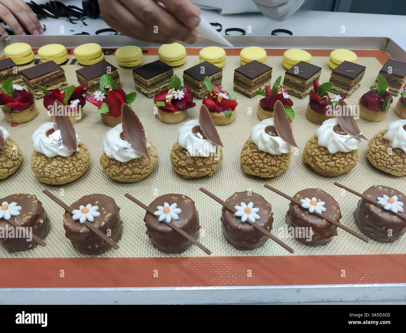 Une variété de produits de boulangerie colorés, y compris des pâtisseries et des desserts, sont soigneusement disposés sur un plateau dans un environnement de boulangerie. Banque D'Images