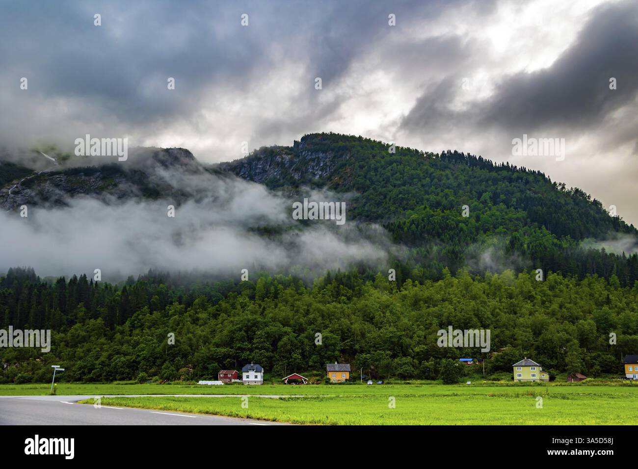 Herbe verte luxuriante dans le creux. Jostedalsbreen Park. Été froid en Norvège. Vallée entourée de hautes montagnes boisées. De lourds nuages couvraient le ciel Banque D'Images