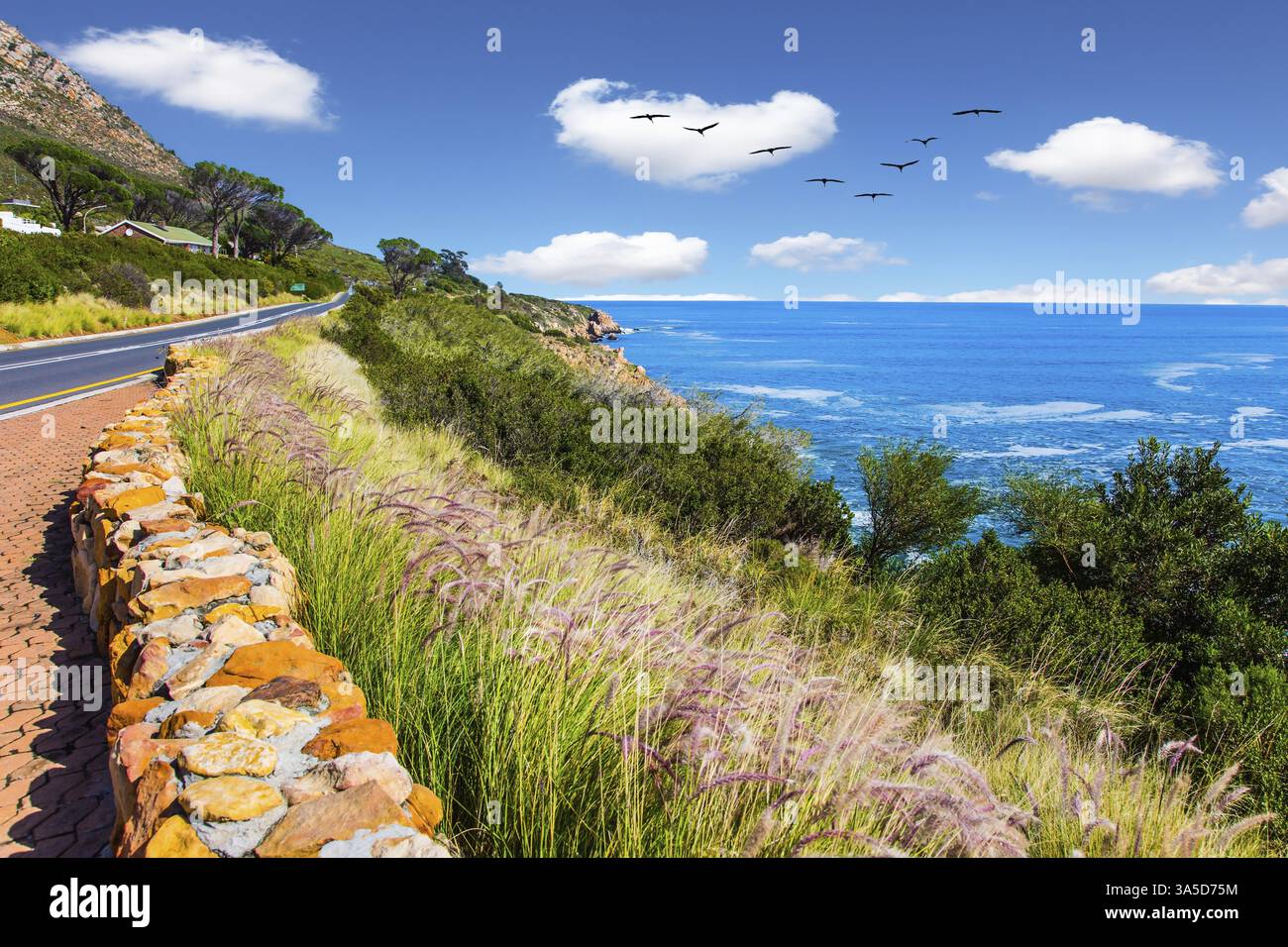 Lieu où deux océans se rencontrent. Troupeau triangulaire d'oiseaux migrateurs au-dessus des vagues. Mystérieuse Afrique du Sud. Le concept de tourisme extrême et exotique Banque D'Images